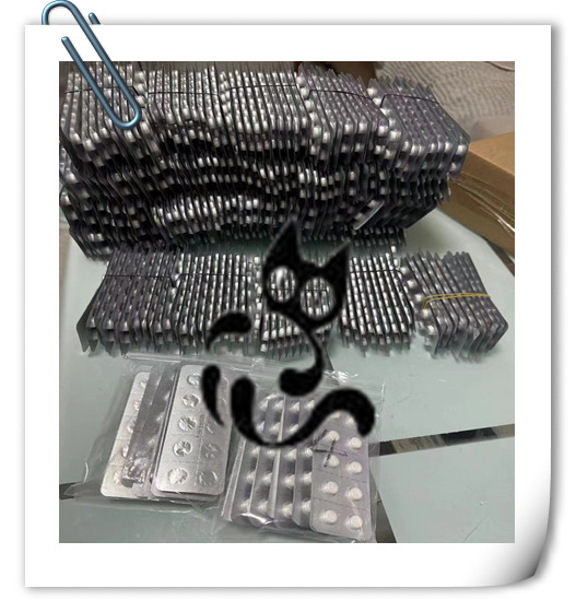 GS-441524 tablets 40mg treatment cat FIP GS-441524