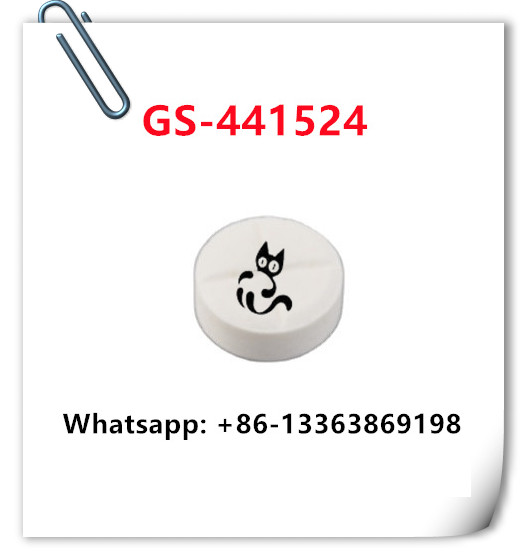 GS-441524 for treatment cat FIP – Hebei weimiao