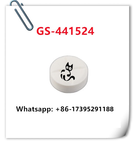 GS-441524 tablets 40mg treatment cat FIP GS-441524